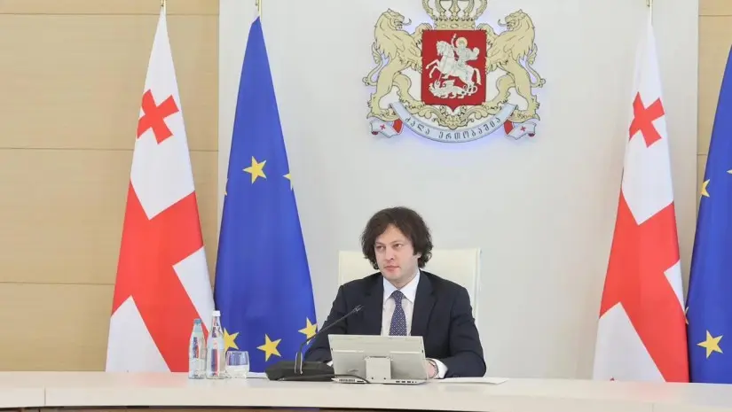 შესაბამისი უწყებები იქნებიან დაკავებული ამ საკითხით - კობახიძე ნანა ყეინიშვილის საქმიანობის გამოძიებაზე