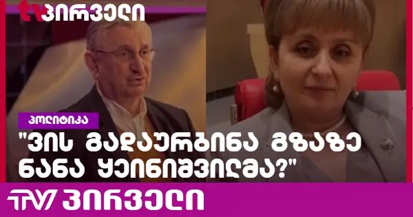 შეიძლება ეროვნულ ბანკში საბჭოს წევრის ადგილის გამოთავისუფლება უნდათ ვიღაცისთვის - გოცირიძე ყეინიშვილის წინააღმდეგ გამოძიებაზე
