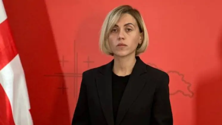 ანა წითლიძე ნანა ყეინიშვილის საქმეზე: ზურაბიშვილს რა მოტივაცია ჰქონდა, ეს ადამიანი კანდიდატად რომ წარადგინა, გრძნობს ამაზე პასუხისმგებლობას? აღიარებს საკუთარ შეცდომას?