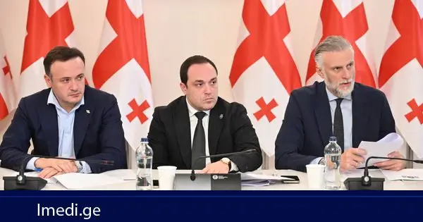 დიასპორის, კულტურისა და სპორტის კომიტეტების ერთობლივ სხდომაზე საქართველოს 2027 წლის სახელმწიფო ბიუჯეტის პროექტზე იმსჯელეს