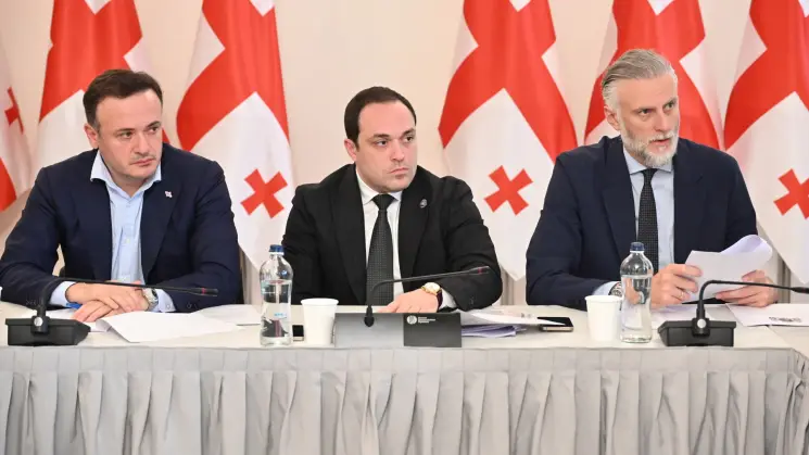 დიასპორის, კულტურისა და სპორტის კომიტეტების ერთობლივ სხდომაზე საქართველოს 2027 წლის სახელმწიფო ბიუჯეტის პროექტზე იმსჯელეს