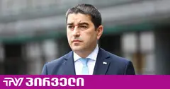 გამოძიება ნანა ყეინიშვილის წინააღმდეგ - შალვა პაპუაშვილი სალომე ზურაბიშვილ პასუხისმგებლობაზე საუბრობს