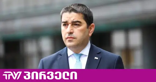 გამოძიება ნანა ყეინიშვილის წინააღმდეგ - შალვა პაპუაშვილი სალომე ზურაბიშვილ პასუხისმგებლობაზე საუბრობს