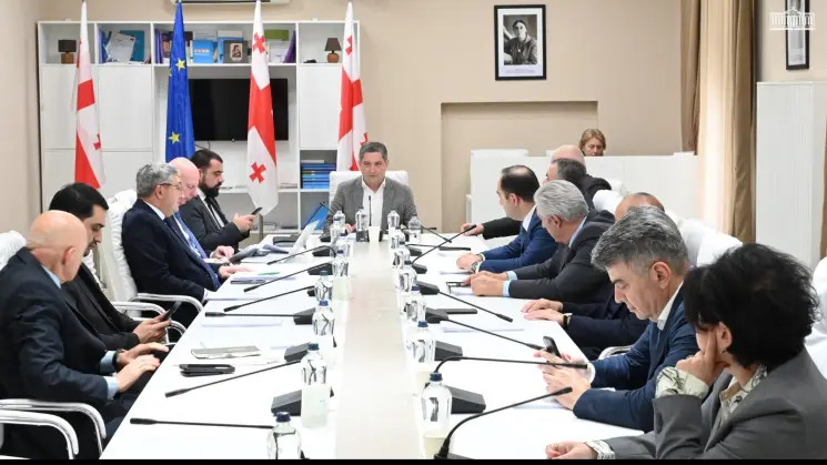 სოფლის მეურნეობის კომიტეტმა საქართველოს 2027 წლის სახელმწიფო ბიუჯეტის პროექტი განიხილა