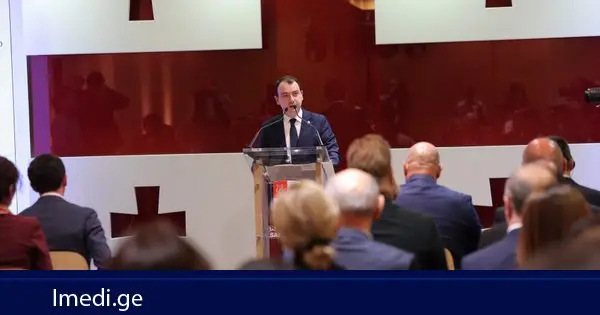 გიორგი ჩაკვეტაძე ინტელექტუალური საკუთრების სწავლებისა და გადამზადების ახალი ცენტრის გახსნის ღონისძიებაზე სიტყვით გამოვიდა
