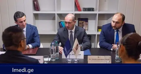 გივი მიქანაძე ინტელექტუალური საკუთრების მსოფლიო ორგანიზაციის (WIPO) აკადემიის დირექტორს შეხვდა