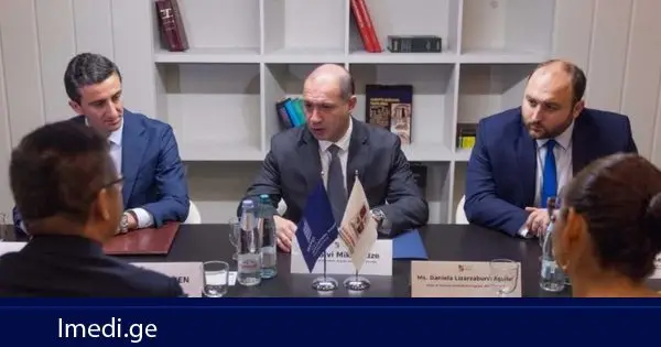 გივი მიქანაძე ინტელექტუალური საკუთრების მსოფლიო ორგანიზაციის (WIPO) აკადემიის დირექტორს შეხვდა
