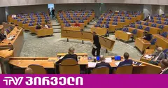 ნიდერლანდების პარლამენტის ქვედა პალატა “ოცნების“ წინააღმდეგ სარჩელის შეტანას ითხოვს