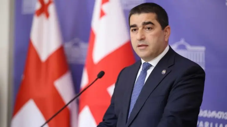 შალვა პაპუაშვილი: სააკაშვილის სამართლიანი სასჯელისგან დახსნის უცხოურ დეზინფორმაციულ კამპანიაში ჩართვის გამო, Amnesty International-მა დიდი ხნით დაიმკვიდრა თაღლითის სახელი