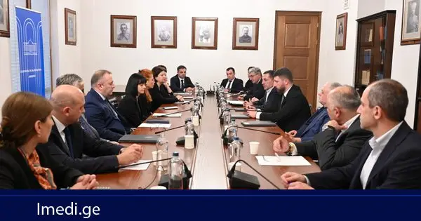 ნდობის ჯგუფის შეხვედრაზე საქართველოს 2027 წლის სახელმწიფო ბიუჯეტის პროექტი განიხილეს