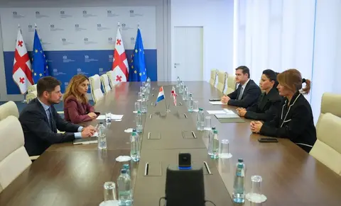 მარიამ ქვრივიშვილი ნიდერლანდების ელჩს შეხვდა