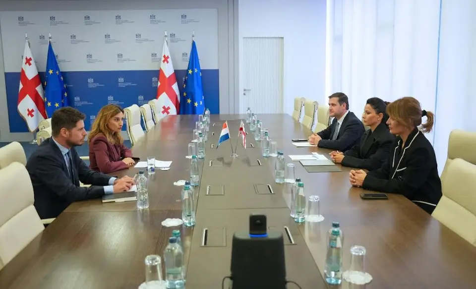 მარიამ ქვრივიშვილი ნიდერლანდების ელჩს შეხვდა