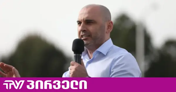 აქციის დანიშვნა ვერ გაგიბედიათ - ხაბეიშვილი ოპოზიციას გამბედაობისკენ მოუწოდებს