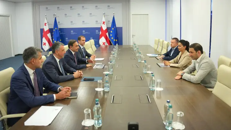 ეკონომიკისა და მდგრადი განვითარების მინისტრი მარიამ ქვრივიშვილი აზერბაიჯანის მსხვილი ბიზნესჯგუფის PASHA Holding-ის კომერციული და საერთაშორისო პროექტების აღმასრულებელ დირექტორს შეხვდა
