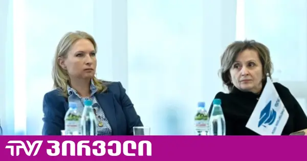 ნანა ყეინიშვილს ეროვნული ბანკიც ჩართული ჰყავდა კორუფციულ სქემაში მის სასარგებლოდ - ბესო დონაძე