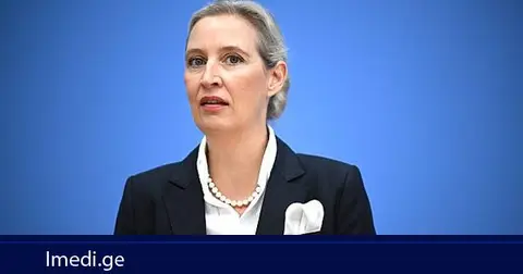 ალის ვაიდელი: გერმანიაში ყოველ 19 წუთში ერთი კომპანია კოტრდება
