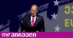 ჰერჩინსკი: ევროკავშირისა და საქართველოს მჭიდრო კავშირს ბოლო პერიოდის ანტიევროპული რიტორიკა ძალიან აზიანებს