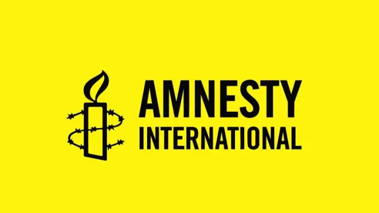 ამერიკის შეერთებული შტატები Amnesty International-ის წინააღმდეგ - საქართველოს ხელისუფლებისთვის აშშ-ის მხრიდან საერთაშორისო ორგანიზაციის კრიტიკა მოულოდნელი არ ყოფილა