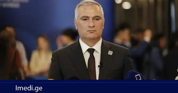 პაატა სალია: გადატვირთულობა ჩვენზე უფრო მაღალია საფრანგეთში, იტალიაში. სუიციდის მაჩვენებელი ჩვენზე უფრო მაღალია ევროკავშირის ბევრ ქვეყანაში