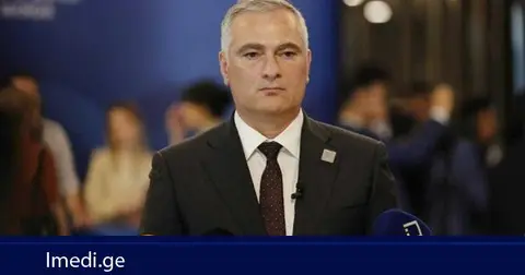 პაატა სალია: დასრულებულ გამოძიებაზე ხელახალ გამოძიებას ნუ ჩავატარებთ. პროკურატურამ დაასრულა გამოძიება და დანაშაული არ გამოიკვეთა
