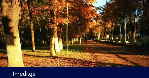 როგორი ამინდია მოსალოდნელი დღეს საქართველოში