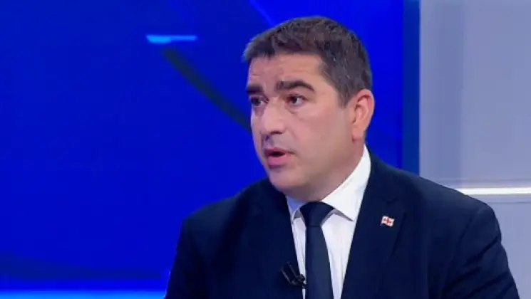 რასაც თავის თავს მართებენ, ამას დახმარებაც არ სჭირდება. ჩვენ ვგულშემატკივრობთ ამ პროცესს, რაც მთლიანად აჩენს ანატომიას იმ საძაგლობის, რაც რადიკალურ ოპოზიციაში ხდება - შალვა პაპუაშვილი
