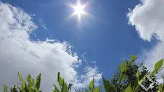 როგორი ამინდი იქნება დღეს საქართველოში
