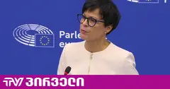 საქართველოს კანდიდატის სტატუსი ახლა მხოლოდ ფურცელზე არსებობს - მარტა კოსი