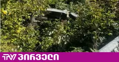 ძამას ხეობაში ექსკურსიის ავტომობილი გზის სავალი ნაწილიდან გადავარდა - დაშავდნენ ბავშვები