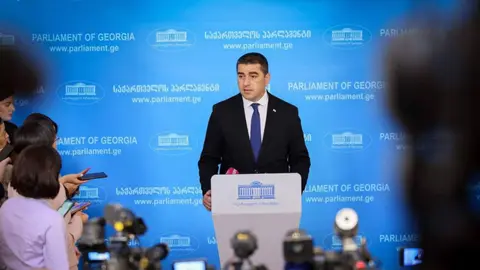 საქართველო დგას ქრისტიანულ ღირებულებებზე და ჩვენი რწმენაა, რომ ეს არის ჭეშმარიტად ევროპული. ქალბატონ კოსს თუ პრობლემა აქვს ქრისტიანულ ღირებულებებთან, გვითხრას რა ასპექტში - შალვა პაპუაშვილი