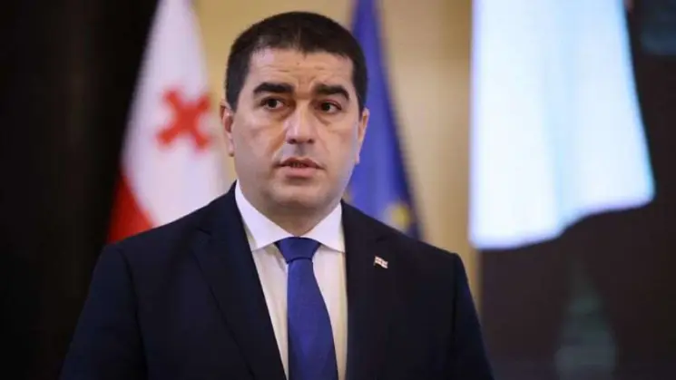 რა მოსატანია დავით ქაცარავა ლაშა ბექაურთან? ჭიანჭველების ბრწკენა ჩვენს ლომკაცს არ მგონია ნამეტანი ანაღვლებდეს - შალვა პაპუაშვილი