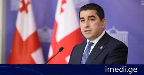 შალვა პაპუაშვილი: ევროკავშირმა რუსეთისგან ასეულობით მილიარდის გაზი და ნავთობი იყიდა, მას შემდეგ რაც ომი დაიწყო - რუსეთის ეკონომიკური იზოლაცია იყო ზღაპარი, რომლის მიყიდვასაც პატარა ქვეყნებისთვის ცდილობდნენ
