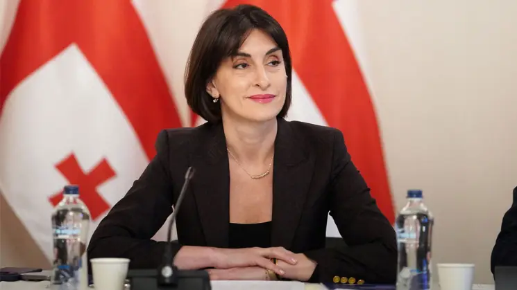 საქართველო გეგმავს საელჩოს გახსნას ვიეტნამში, რაც მნიშვნელოვანი ნაბიჯი იქნება ორ ქვეყანას შორის ურთიერთობებში - მაკა ბოჭორიშვილი