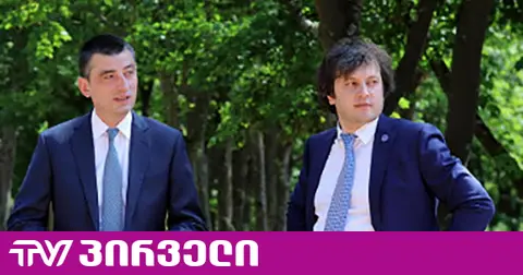კობახიძემ კორუფციაზე მიანიშნა: ჭორაობდნენ, რომ [გახარიამ] საკუთარი აგრარული ბიზნესი მოიწყო