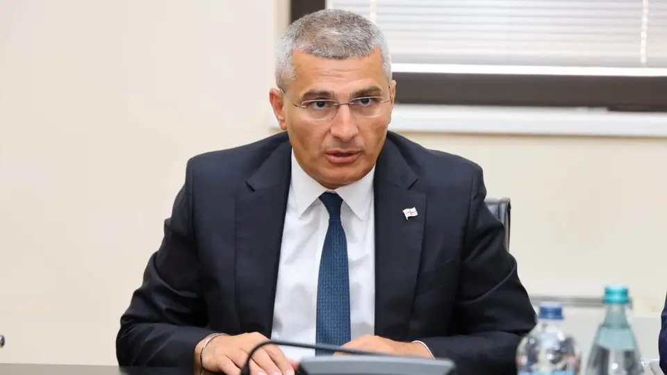 მამუკა მდინარაძემ საკონსულტაციო ჯგუფი დააფუძნა