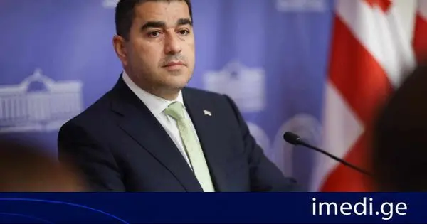 შალვა პაპუაშვილი: არც ერთი დონორი ქველმოქმედებით დონორობას არ აწარმოებს. ეს წარმოდგენა თუ გაქვთ, რომ ვინმეს ქველმოქმედებაა, ძალიან მიამიტები ხართ. ეს არის იმ ქვეყნის ინტერესების განხორციელება