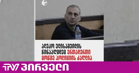 ელისაშვილის წინააღმდეგ ერთადერთი მოწმე პოლიციის ძაღლია - TI-ს დასკვნით, პროკურატურამ პოლიტიკოსს საქმე „შეუკერა“