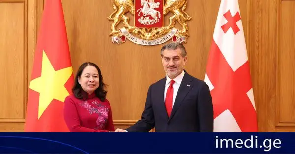 საქართველოს პრეზიდენტმა მიხეილ ყაველაშვილმა პრეზიდენტის სასახლეში ვიეტნამის სოციალისტური რესპუბლიკის ვიცე-პრეზიდენტს ვო თჰი ან სუანს უმასპინძლა