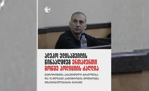 ელისაშვილის წინააღმდეგ ერთადერთი მოწმე პოლიციის ძაღლია – TI-ს დასკვნით, პროკურატურამ პოლიტიკოსს საქმე „შეუკერა“
