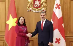 მიხეილ ყაველაშვილი ვიეტნამის სოციალისტური რესპუბლიკის ვიცე-პრეზიდენტს შეხვდა
