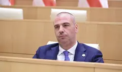 მაჭავარიანი: ვერ მოითმენს EU დიდი ხანი და მოუწევთ ოცნებასთან ურთიერთობა