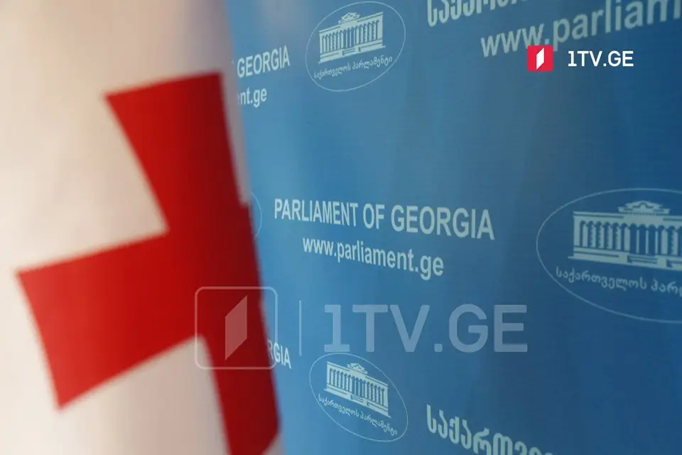 პარლამენტმა პირველი მოსმენით მიიღო ცვლილება, რომლის თანახმად, ყადაღას არ დაექვემდებარება მშობიარობის გამო ანაზღაურებადი შვებულება და ბავშვის მოვლისთვის გასაცემი ფულადი დახმარება