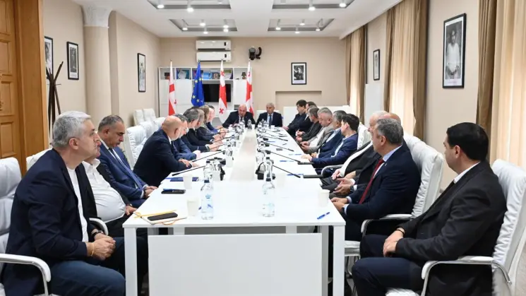 საპარლამენტო უმრავლესობის წევრები რეგიონული განვითარებისა და ინფრასტრუქტურის მინისტრის მოადგილეს შეხვდნენ