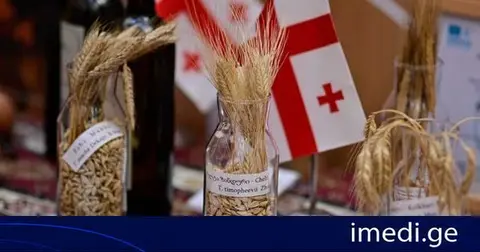 სურსათის მსოფლიო ფორუმის ფარგლებში ქართული ხორბლის კულტურისა და გენეტიკური რესურსების შესახებ პრეზენტაციები გაიმართა