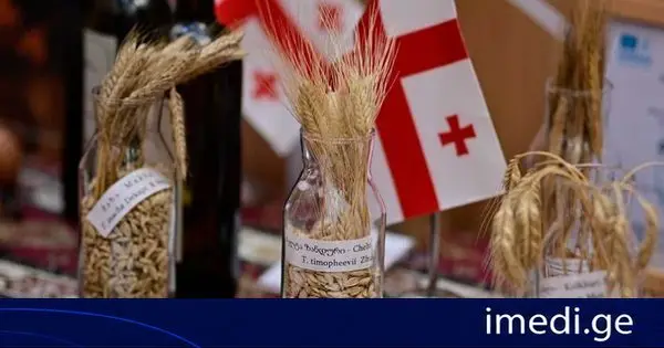 სურსათის მსოფლიო ფორუმის ფარგლებში ქართული ხორბლის კულტურისა და გენეტიკური რესურსების შესახებ პრეზენტაციები გაიმართა