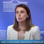 Dekanoidze at the meeting with the PACE delegation: there were harsh assessments from the partners