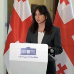 Maya Bitadze to Salome Zurabishvili: demand re-elections, maybe they will leave you at least for a while