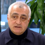 Khazaradze: The idea of ​​the People's Parliament is a conditional designation, we introduced this idea to the President