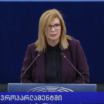 Goshevska: What are you waiting for? to spill blood? Arresting President Zurabishvili?