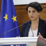 Natia Mezvrishvili: I am ashamed of the Minister of Internal Affairs who will attack the predecessor in this form. The police have a very bad name in the police